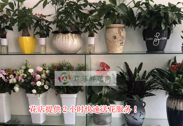 朔州怀仁县花店提供朔州怀仁县2小时快速送花服务