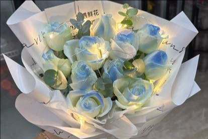 ˷�ݻ����ػ���