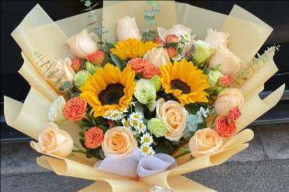 ˷�ݻ����ػ���