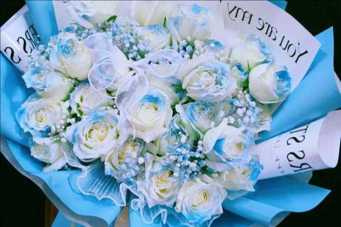 ˷�ݻ����ػ���